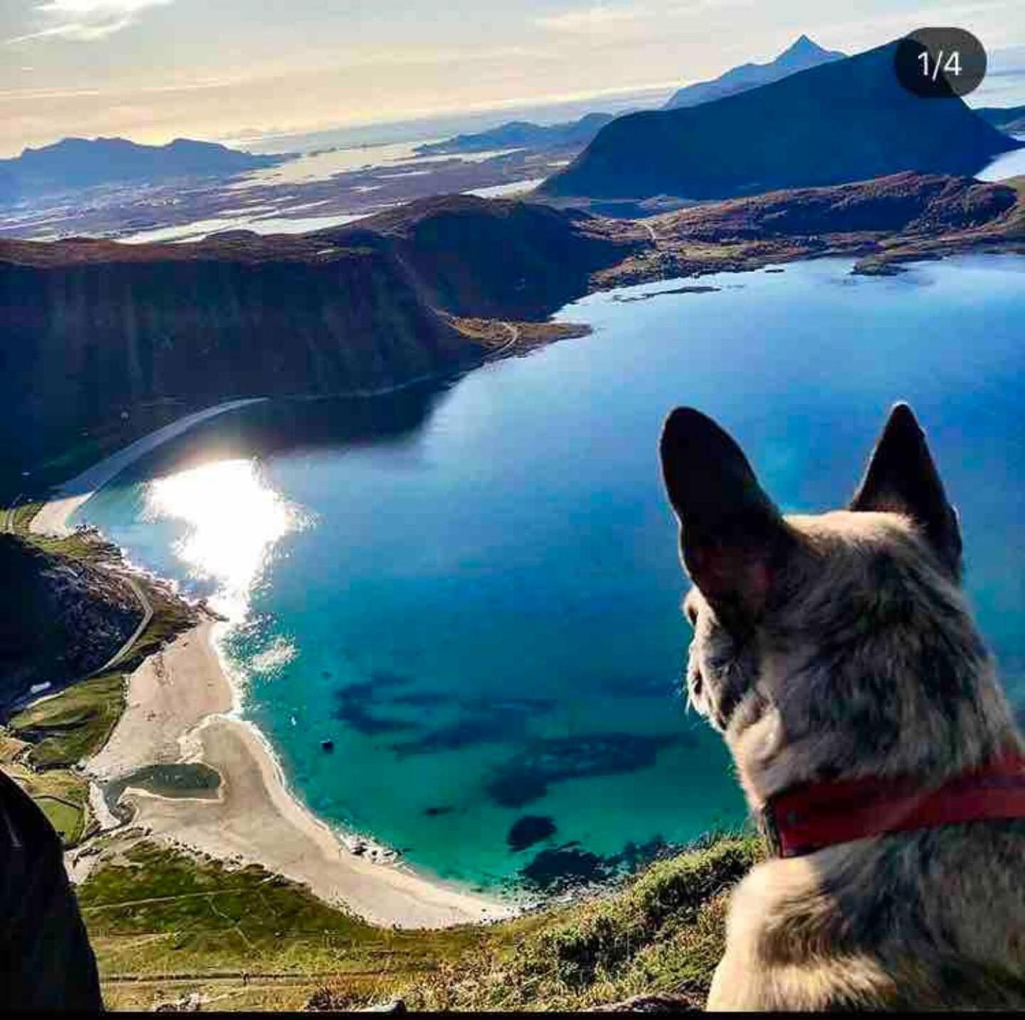 Lofoten Seaview Lägenhet Ballstad