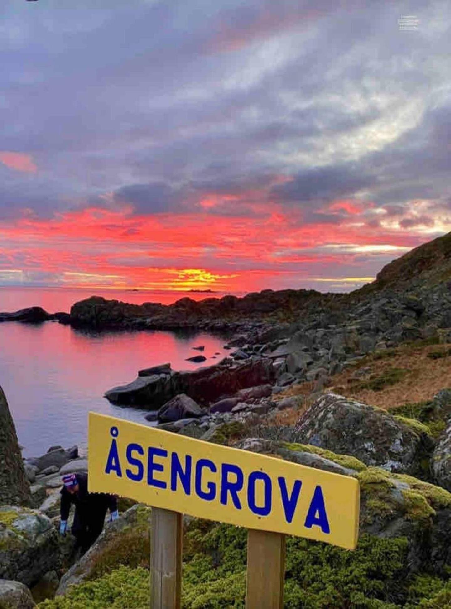 Lofoten Seaview *