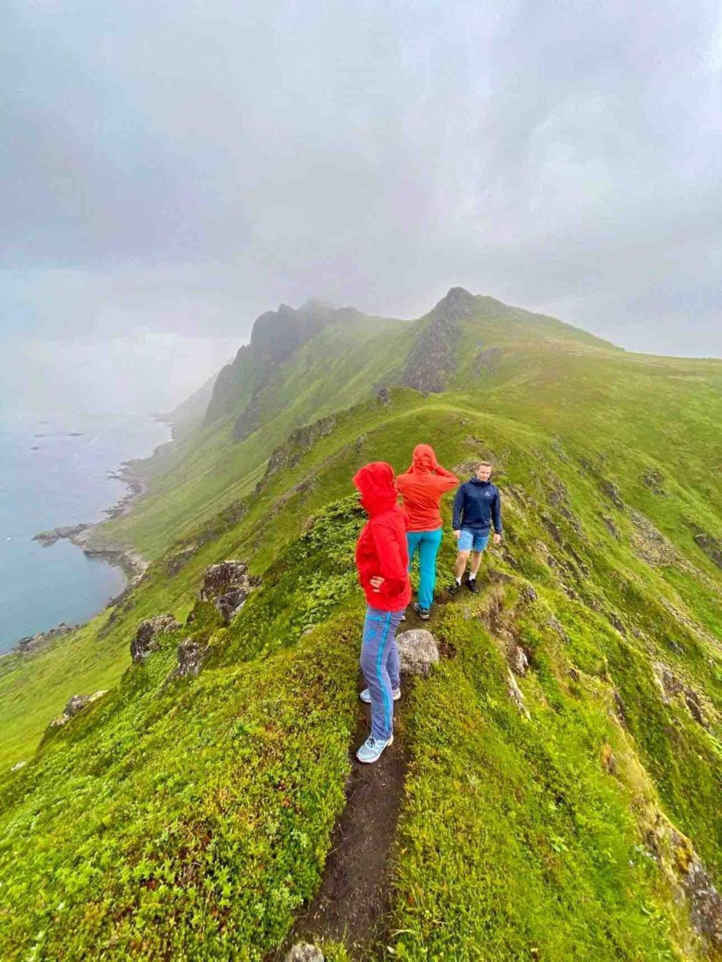 Lofoten Seaview * Ballstad